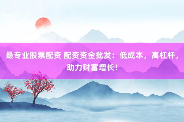 最专业股票配资 配资资金批发：低成本，高杠杆，助力财富增长！