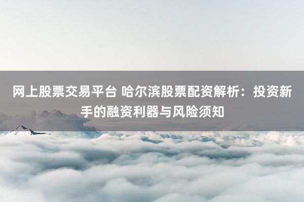 网上股票交易平台 哈尔滨股票配资解析：投资新手的融资利器与风险须知