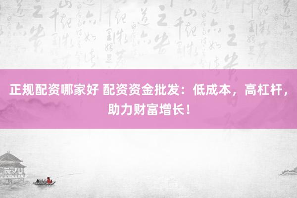 正规配资哪家好 配资资金批发：低成本，高杠杆，助力财富增长！