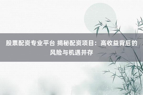 股票配资专业平台 揭秘配资项目：高收益背后的风险与机遇并存