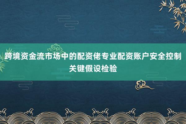 跨境资金流市场中的配资佬专业配资账户安全控制关键假设检验
