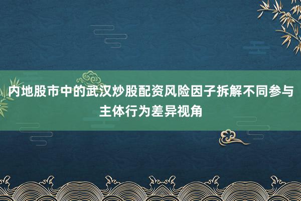 内地股市中的武汉炒股配资风险因子拆解不同参与主体行为差异视角