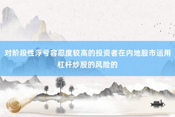 对阶段性浮亏容忍度较高的投资者在内地股市运用杠杆炒股的风险的