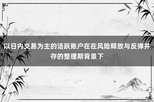 以日内交易为主的活跃账户在在风险释放与反弹并存的整理期背景下
