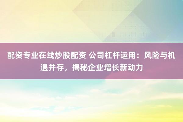 配资专业在线炒股配资 公司杠杆运用：风险与机遇并存，揭秘企业增长新动力
