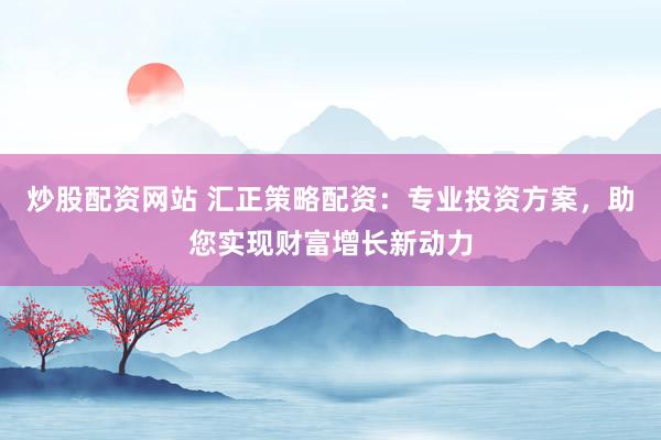 炒股配资网站 汇正策略配资：专业投资方案，助您实现财富增长新动力