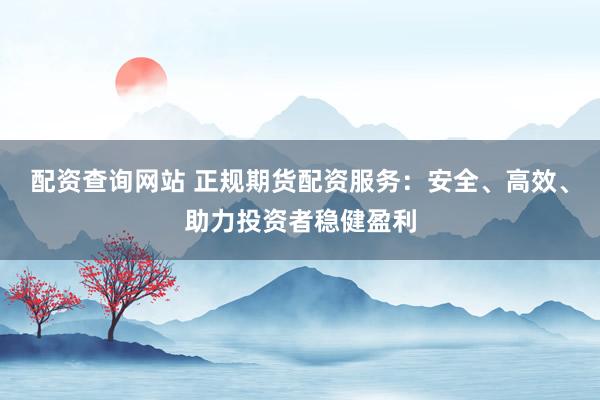 配资查询网站 正规期货配资服务：安全、高效、助力投资者稳健盈利